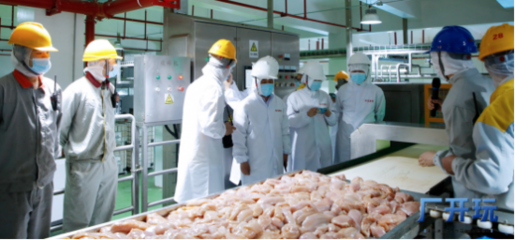 强强联手 乖宝宠物食品集团与凤祥食品鲜肉供应链达成战略合作，引领宠物食品行业品质升级