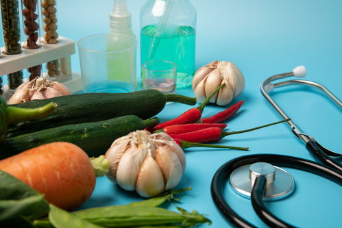 黄瓜辣椒食品安全与农业科技 培育、摄影与插画资源解析